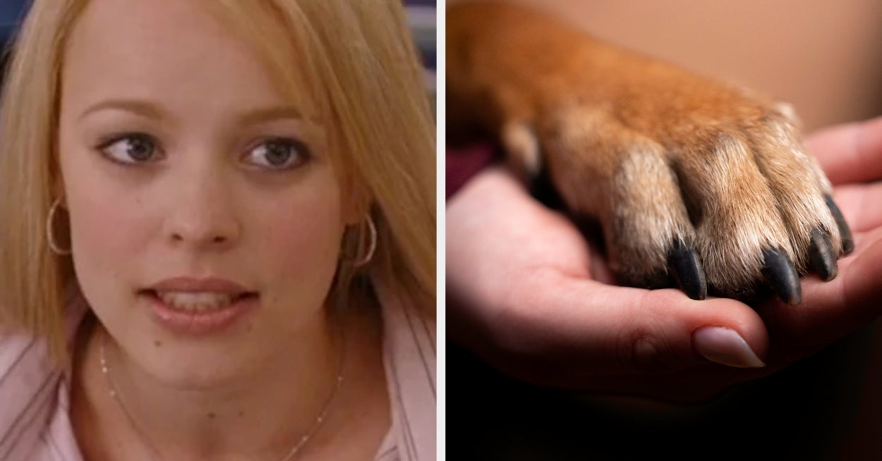 Pick Some Popular Movies And I'll Tell You Whether Or Not You Should Pet A Dog This Weekend!