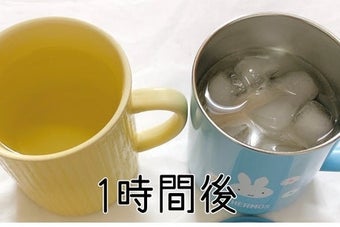 THERMOS（サーモス）の「真空断熱マグカップ 350ml ミッフィー ライトブルー」。普通のマグカップと比較して、氷の溶け具合が一目瞭然。