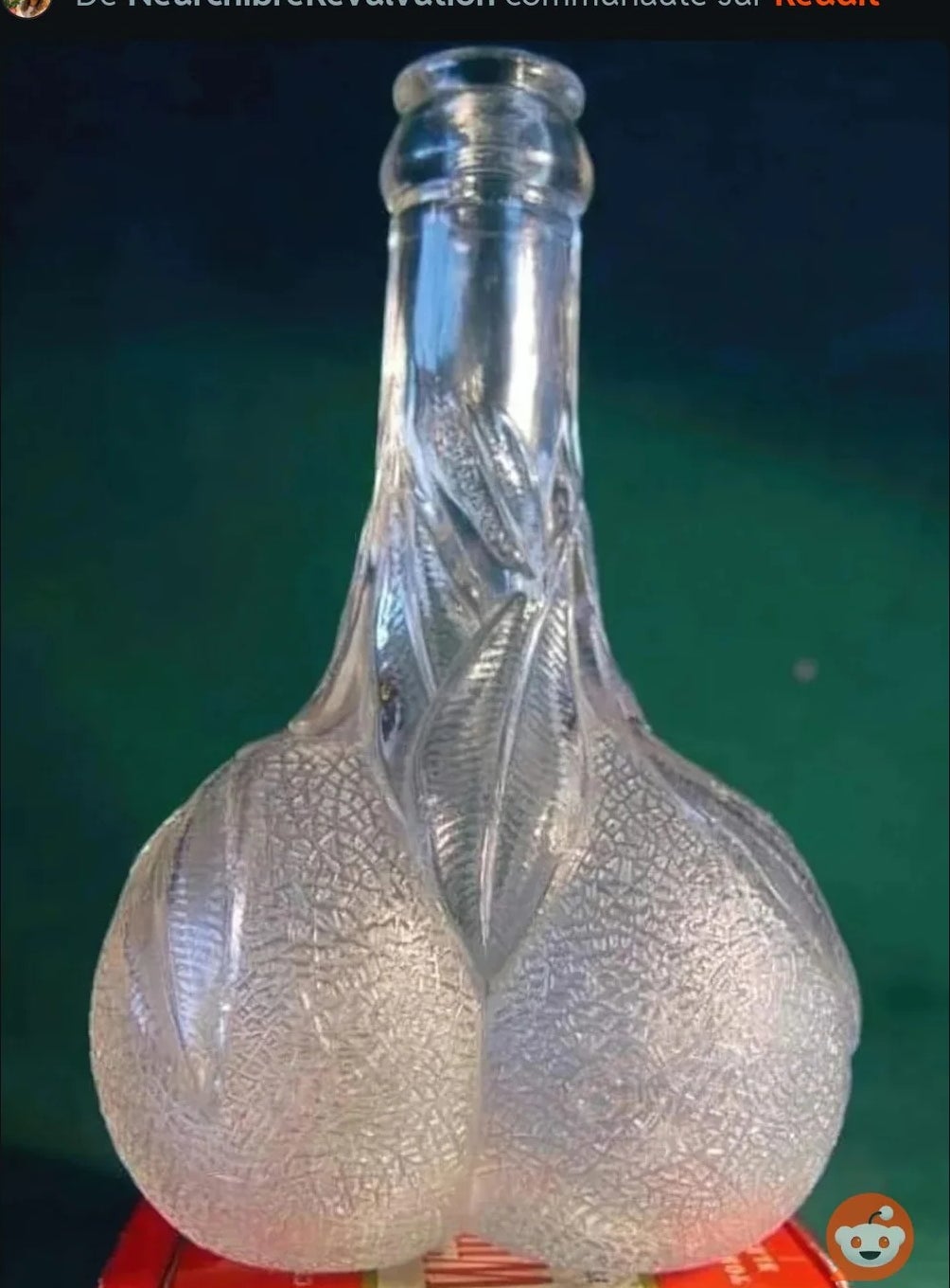 Ornate solid  vessel  with intricate leafage  design, bulbous base, and constrictive  neck, showcased connected  a reddish  box