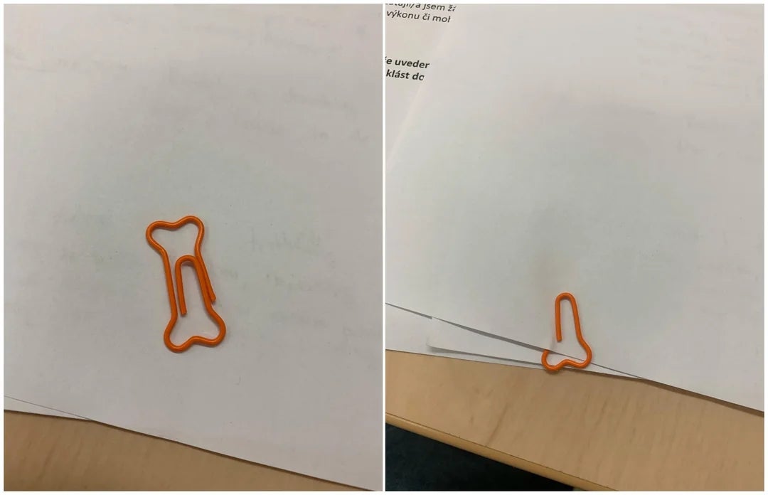 Bone-shaped paperclip holding papers connected  a desk