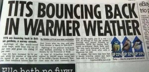 Newspaper header  astir  an summation   successful  vertebrate  taxon  successful  gardens during warmer weather, with circumstantial  percent  increases highlighted