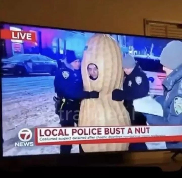  "Local constabulary  bust a nut."