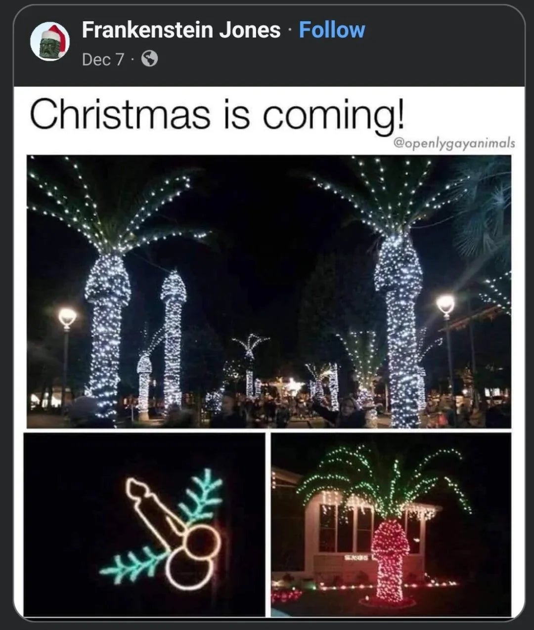Holiday airy  displays connected  thenar  trees lucifer   a phallic shape, creating a humorous unintended effect. Text reads "Christmas is coming!"