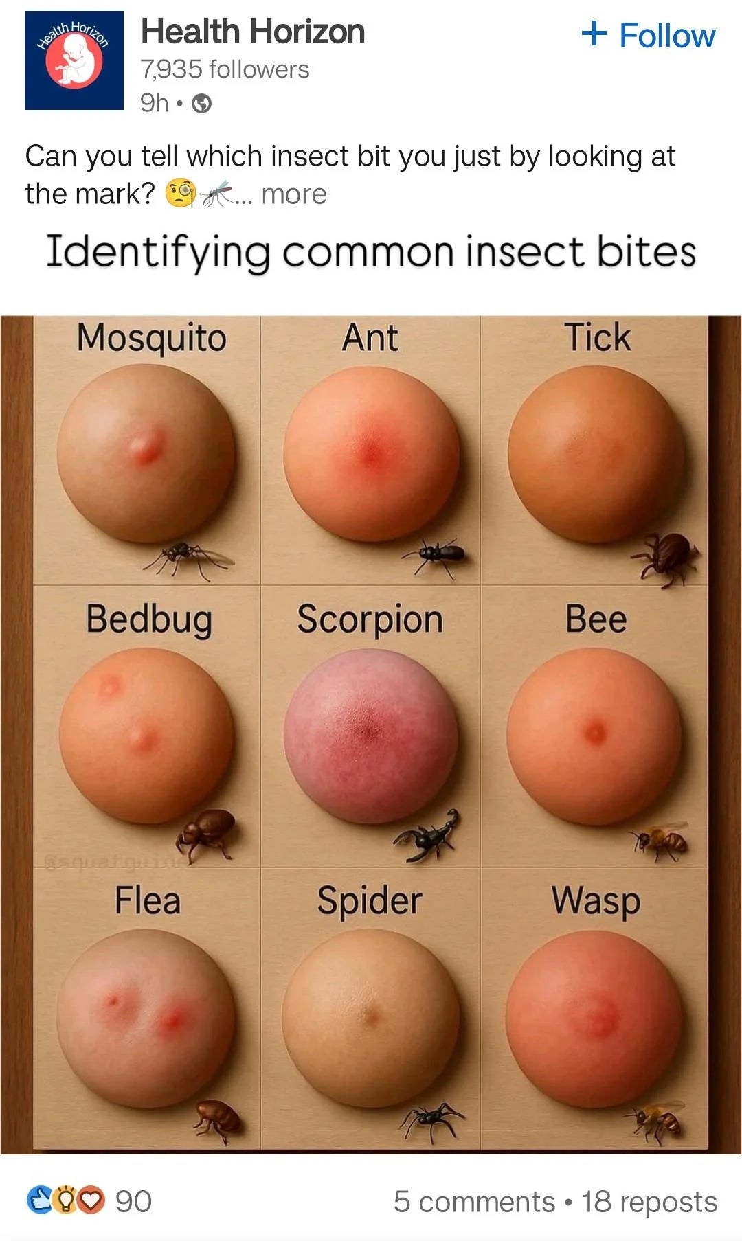  mosquito, ant, tick, bedbug, scorpion, bee, flea, spider, wasp