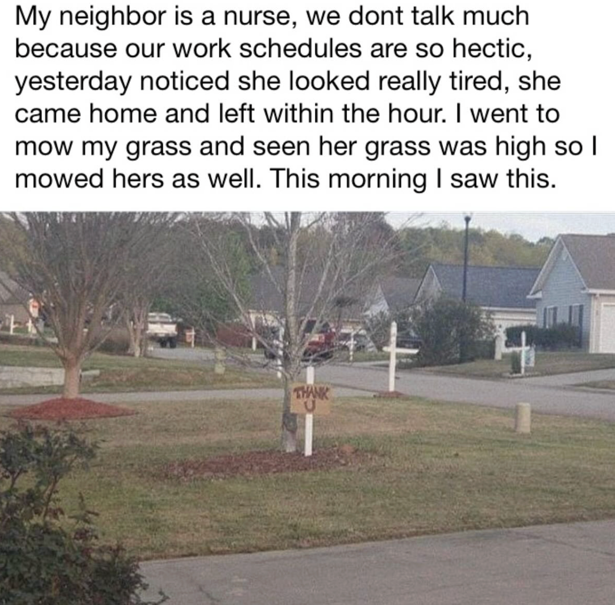 Post image 15