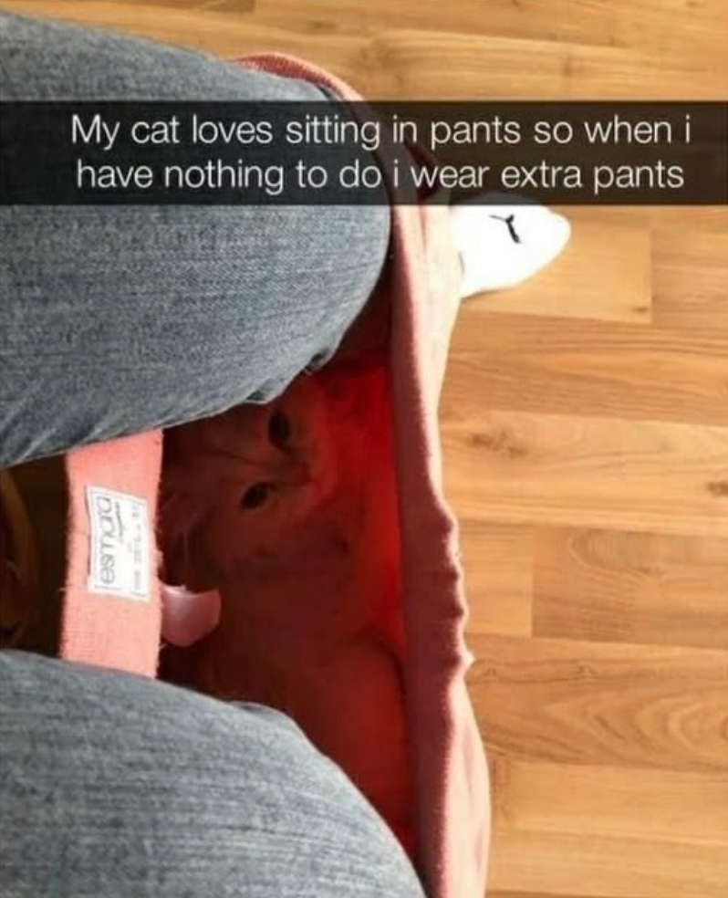 Post image 21