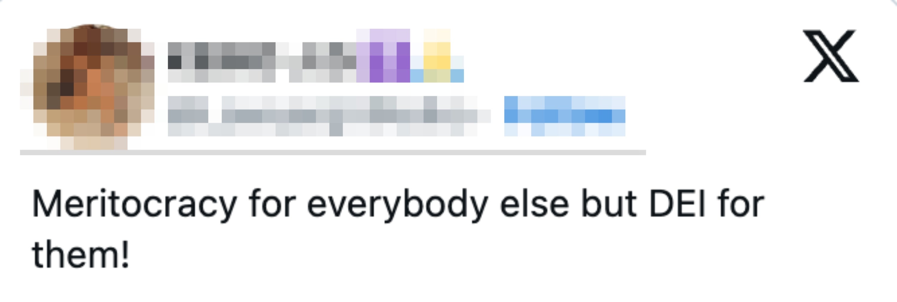  "Meritocracy for everybody other  but DEI for them!"