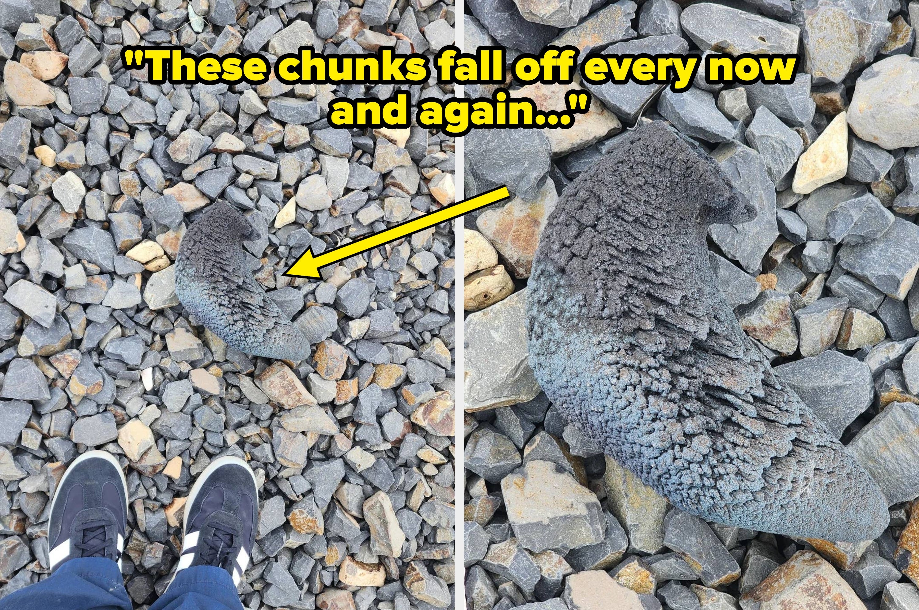 A curly chunk of gray material lies on a rocky ground next to sneaker-clad feet. Text reads, "These chunks fall off every now and again."