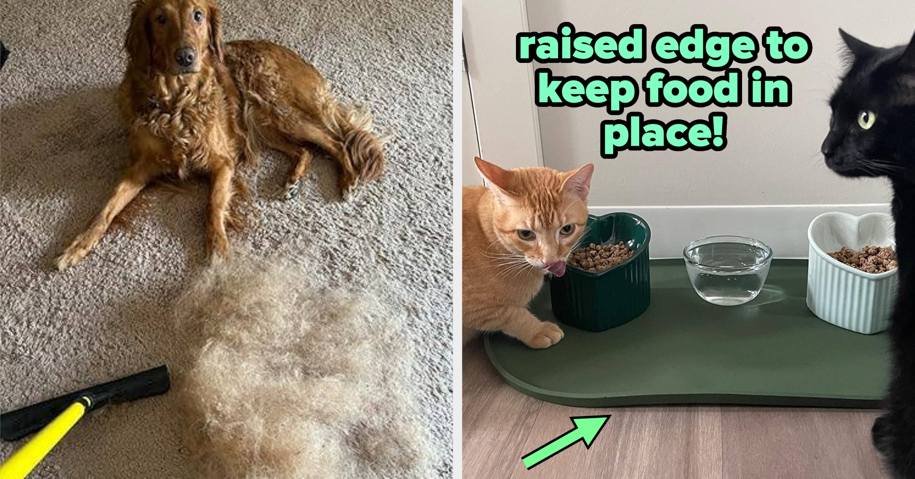 If Your Roommates, AKA Your Pets, Are Creating A Mess In The House, Here Are 27 Things To Help