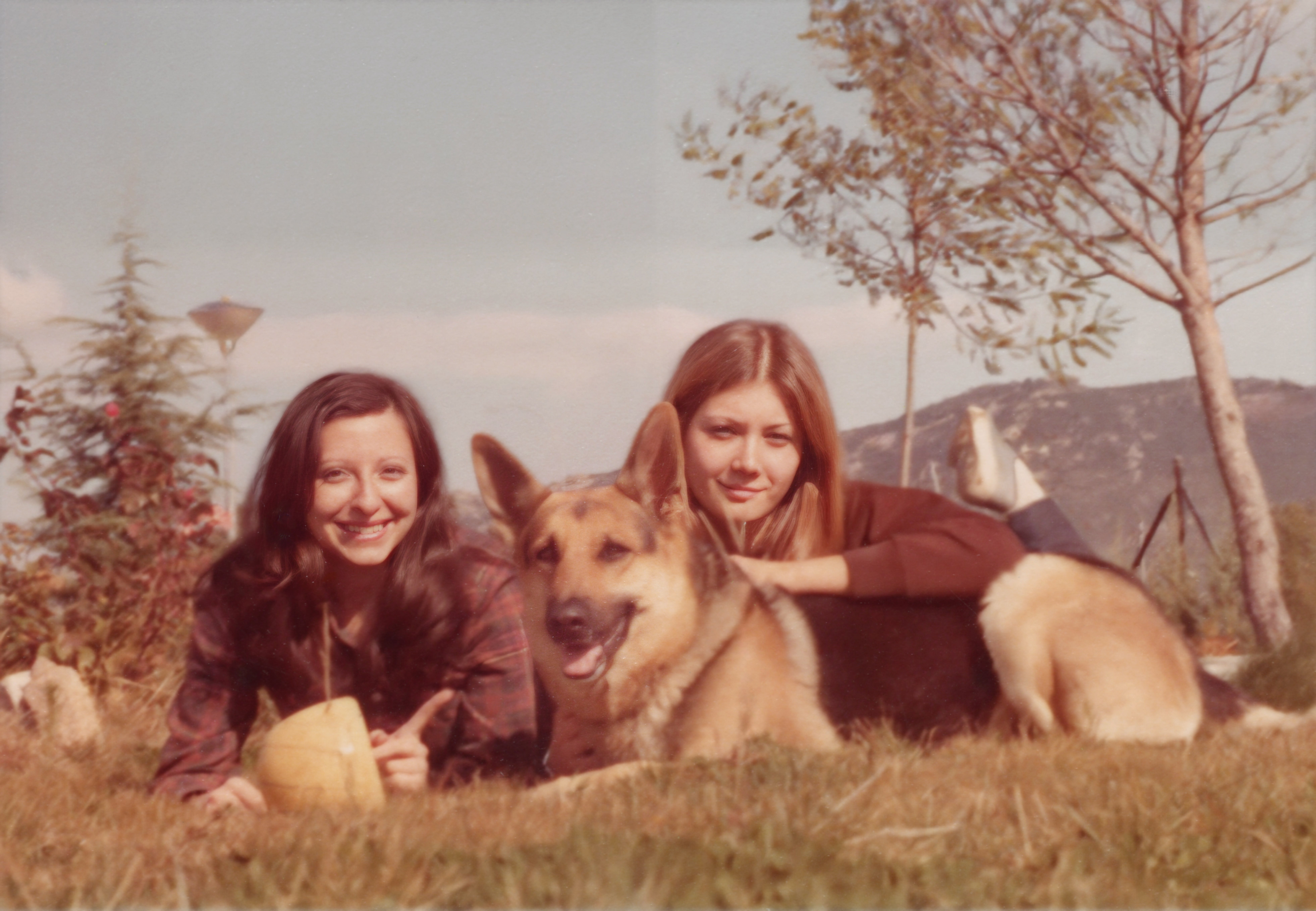 Two women and a German Shepherd canine  unbend  connected  writer  outdoors. Trees and hills are successful  the background