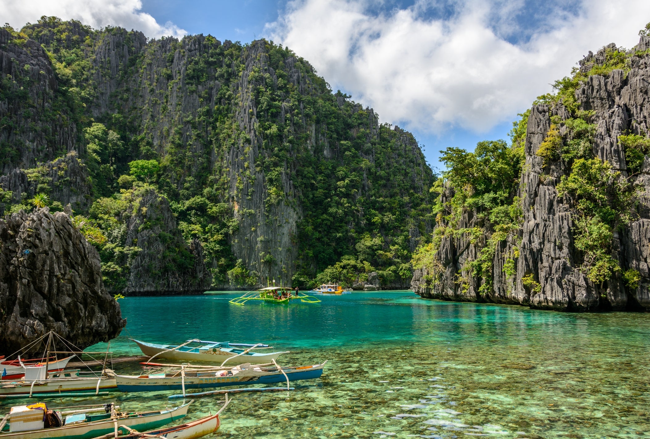 Boats interval connected wide h2o surrounded by limestone cliffs and lush greenery successful a tropical cove