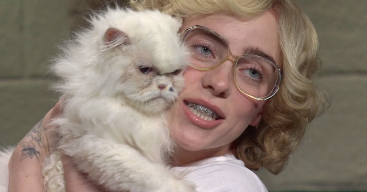 Can We Finally Admit That Cat Ladies Are Iconic? Spend A Day As A Feline Fanatic And I'll Give You A Lil' Furry Friend To Adopt