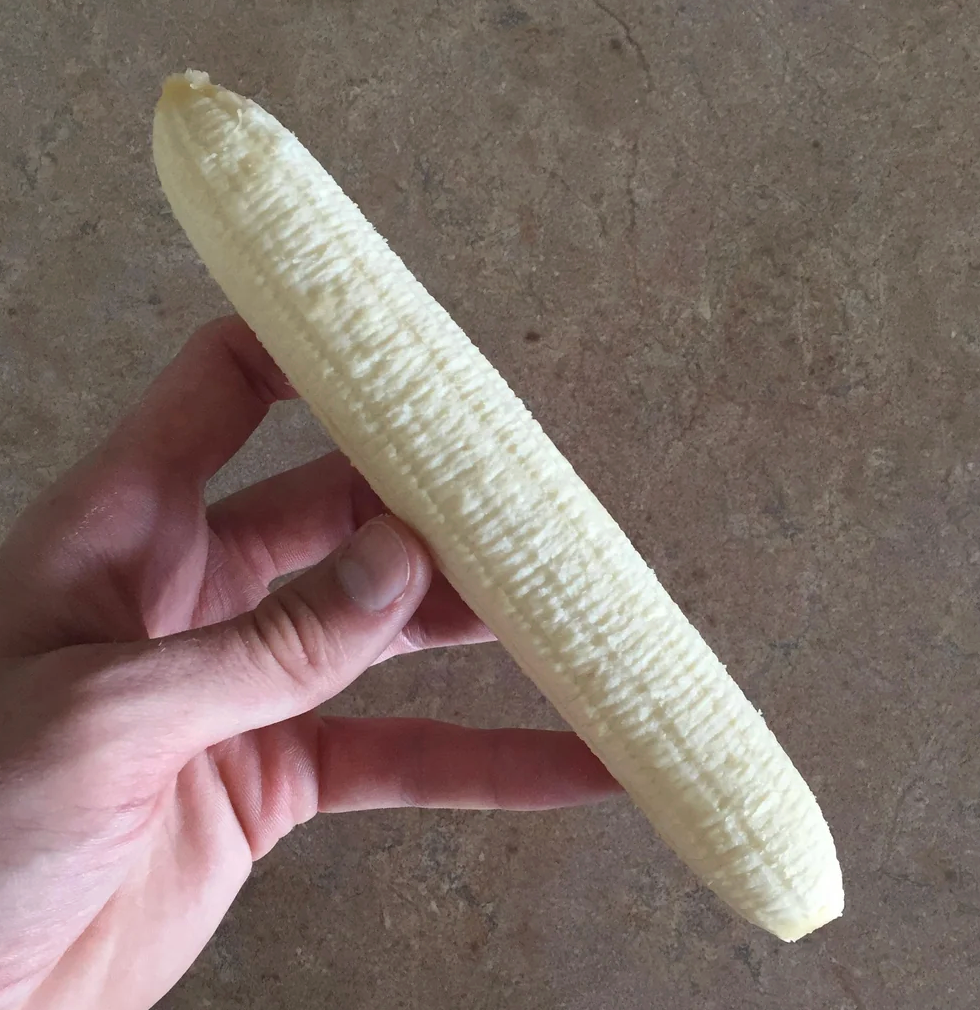 A manus holding a peeled banana, but the peel signifier resembles maize connected the cob