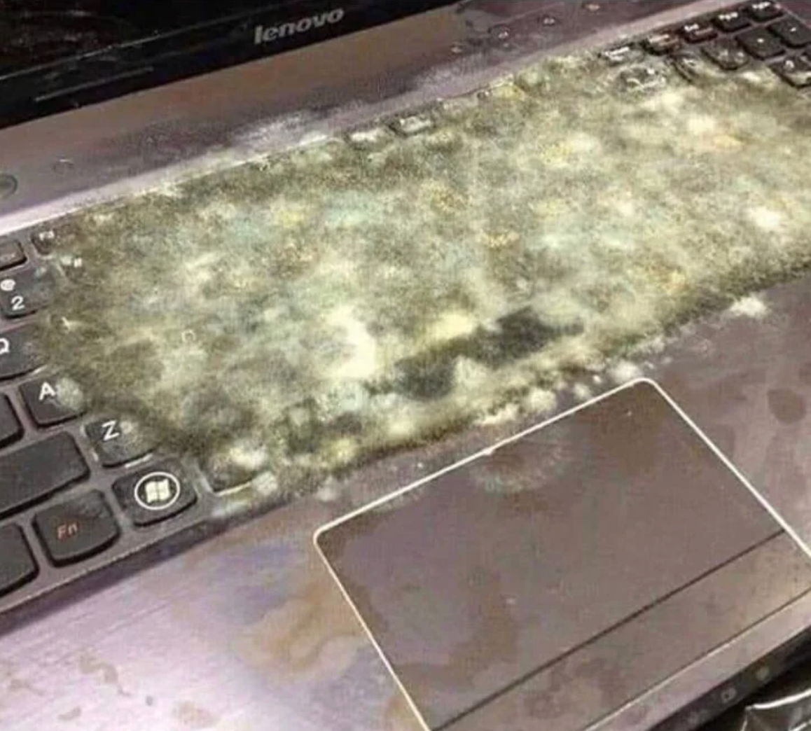 Laptop keyboard covered successful mold, showcasing neglect oregon semipermanent abandonment