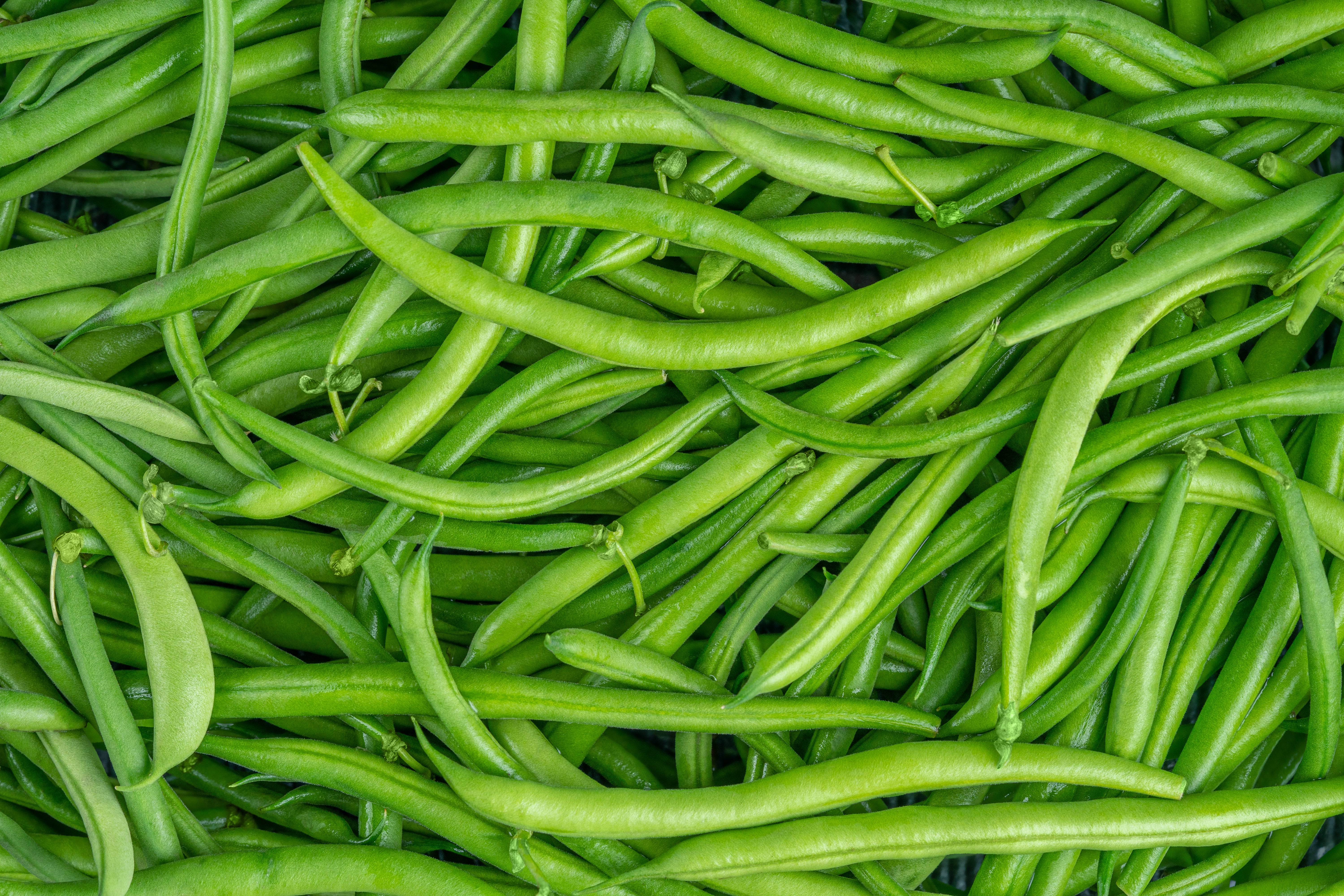 A close-up of caller greenish beans, showcasing their texture and earthy curves