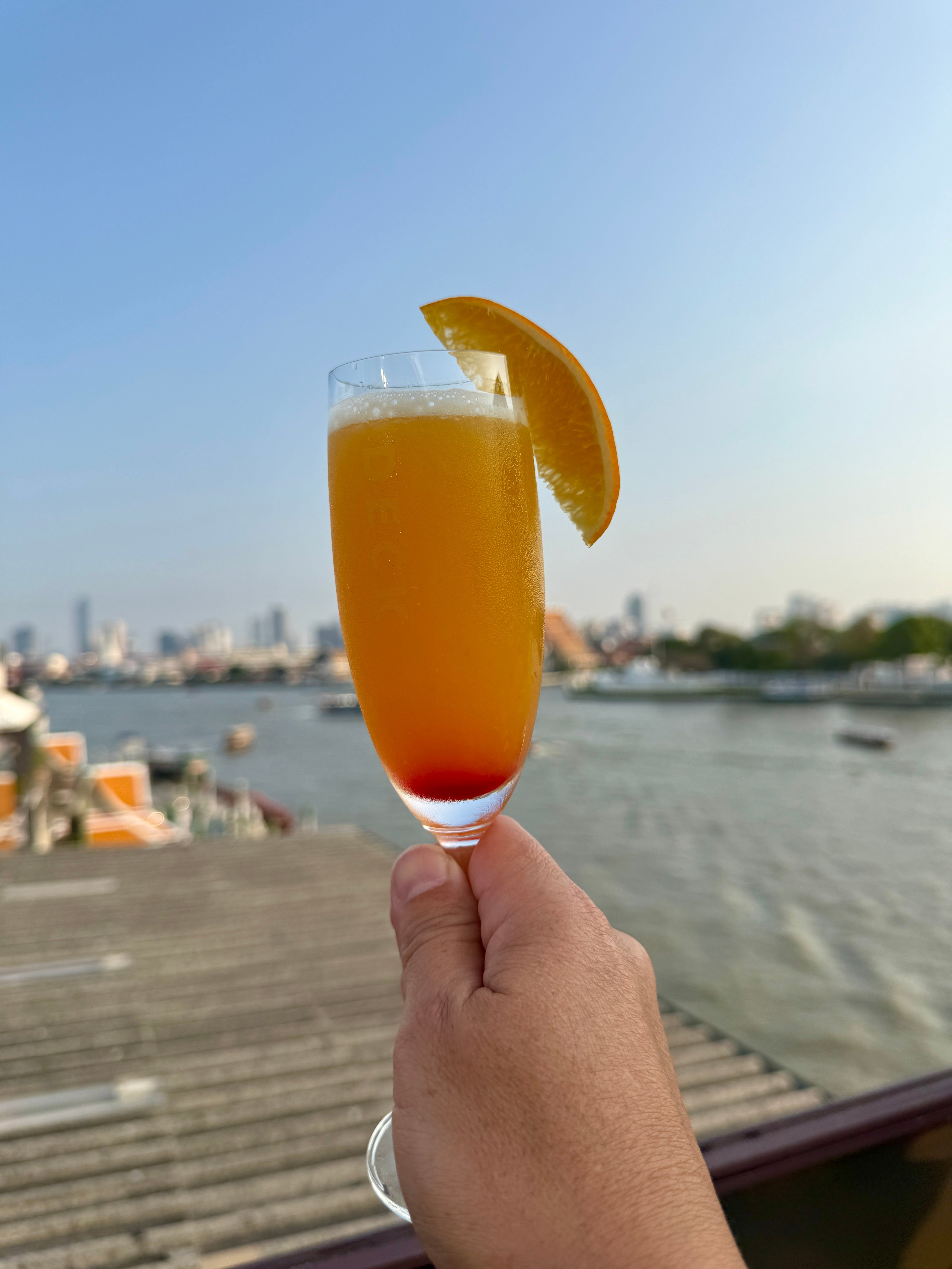 Hand holding a solid of orangish cocktail with a portion of orange, overlooking a waterfront cityscape