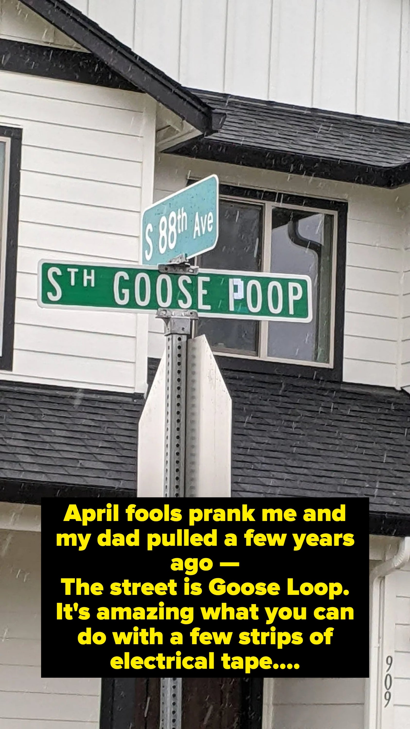Street signs at an intersection read "S 88th Ave" and humorously, "Goose Poop." Snow falls around a house in the background