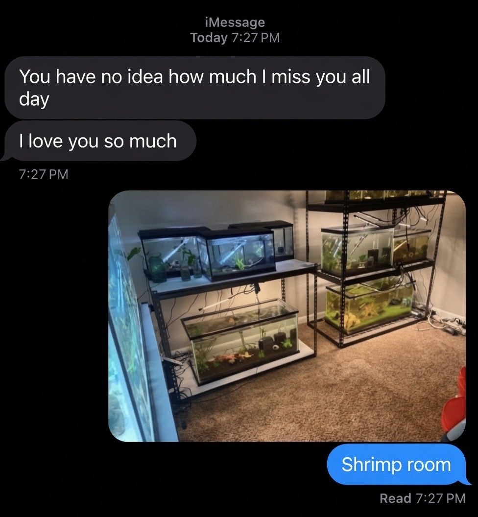 Post image 36