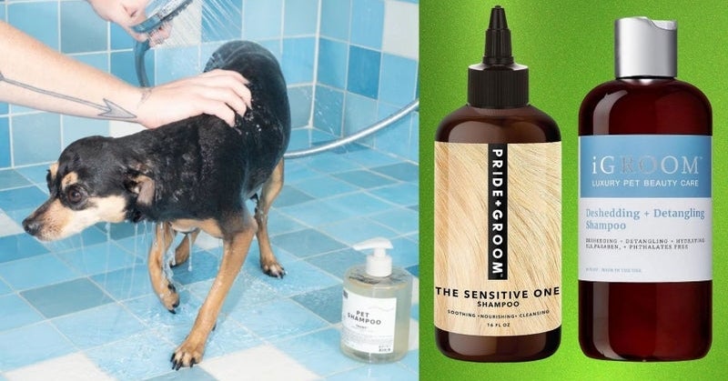 Yes, Your Dogs (And Cats!) Need A Bath. Here Are The Shampoos Groomers Recommend.