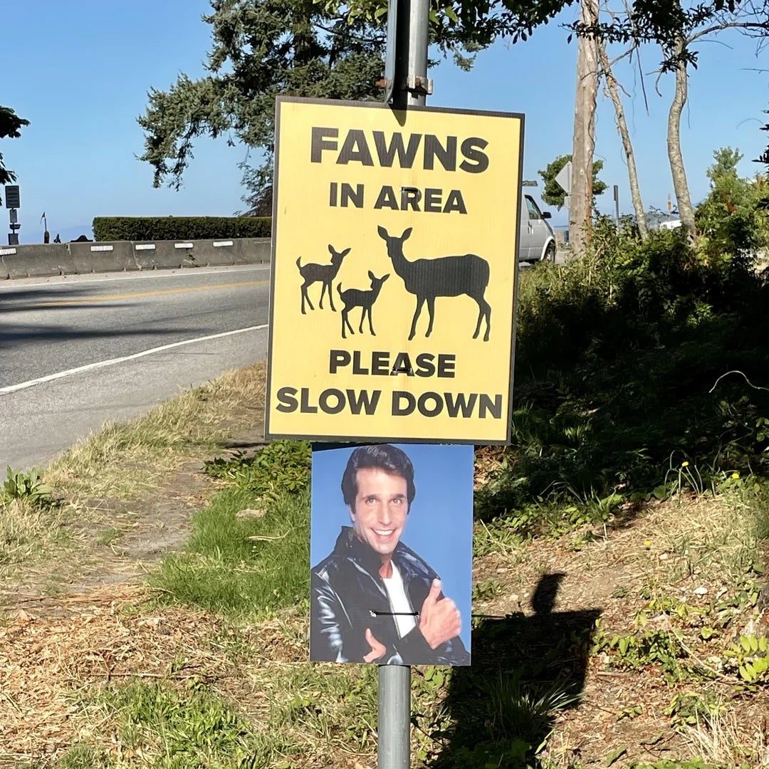 Roadside sign reads, "Fawns in area, please slow down," with a photo of a person in a leather jacket below