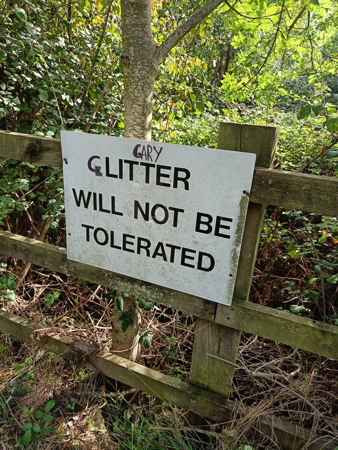 Sign on a wooden fence reads: "GLITTER WILL NOT BE TOLERATED," with "Gary" handwritten above. Lush greenery in the background