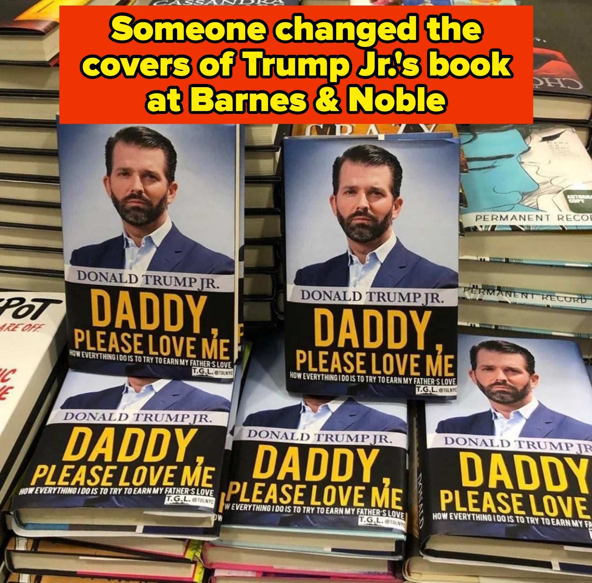 Display of books titled "Daddy, Please Love Me" by Donald Trump Jr., stacked on a table