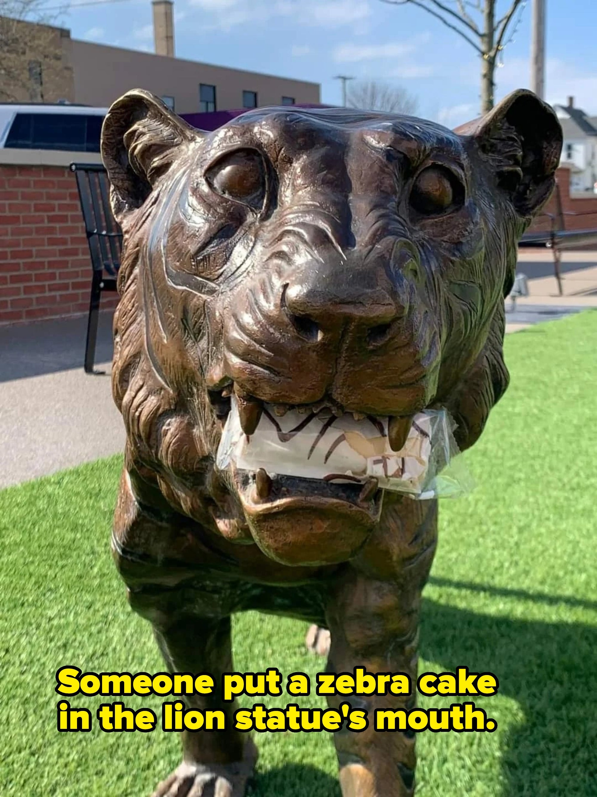 Bronze tiger statue standing on grass, holding a wrapped sandwich in its mouth