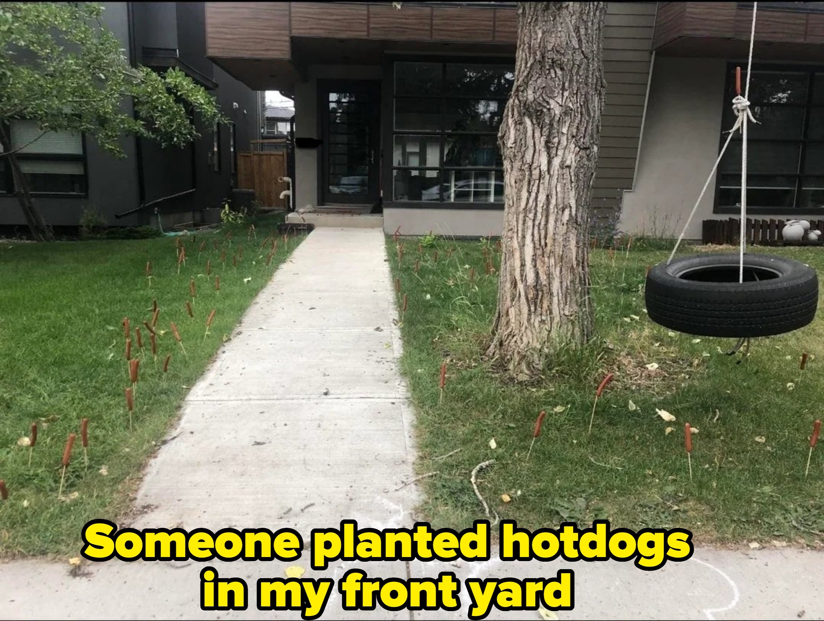 Sidewalk next to a grassy area with a tree and a tire swing. Dozens of hot dogs stick out of the ground