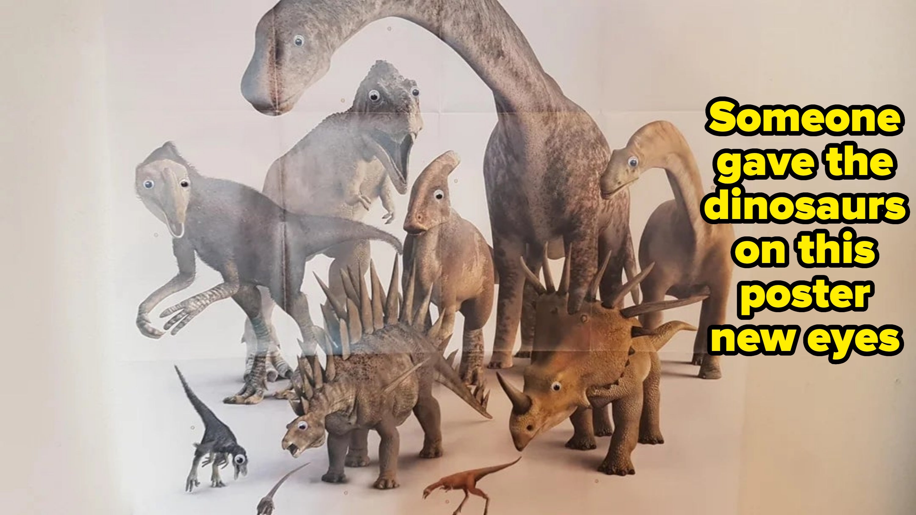 A group of dinosaurs, including a Stegosaurus and a Brachiosaurus, in various poses