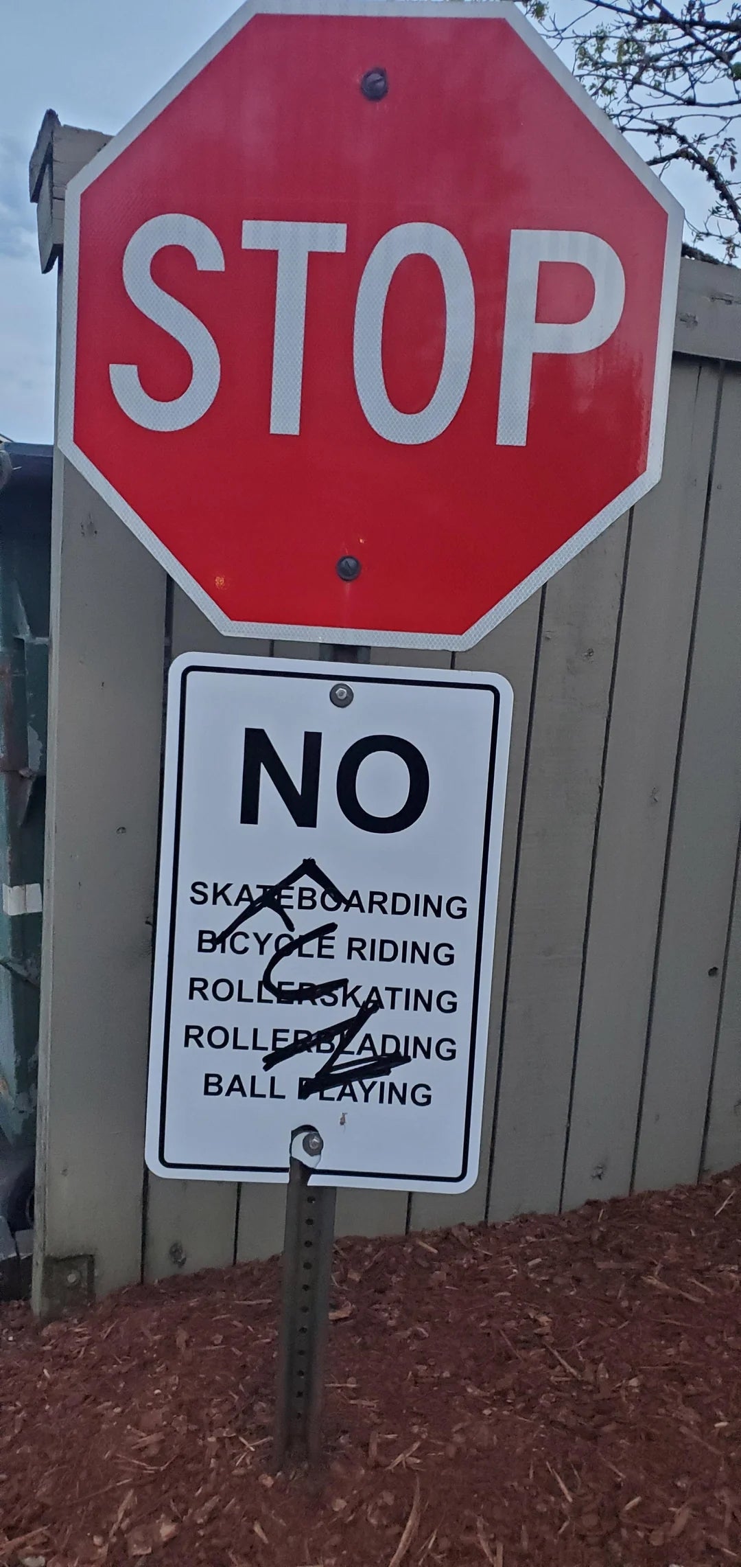 Stop sign over a "No skateboarding, bicycle riding, roller skating, rollerblading, ball playing" sign, with "no" crossed out