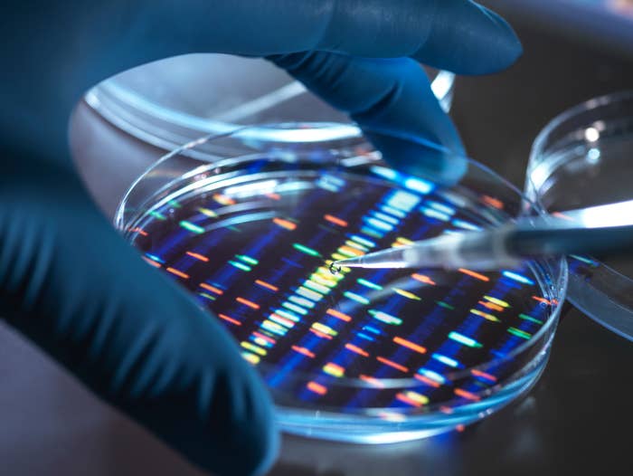 Wildest Things People Learned After Taking DNA Tests