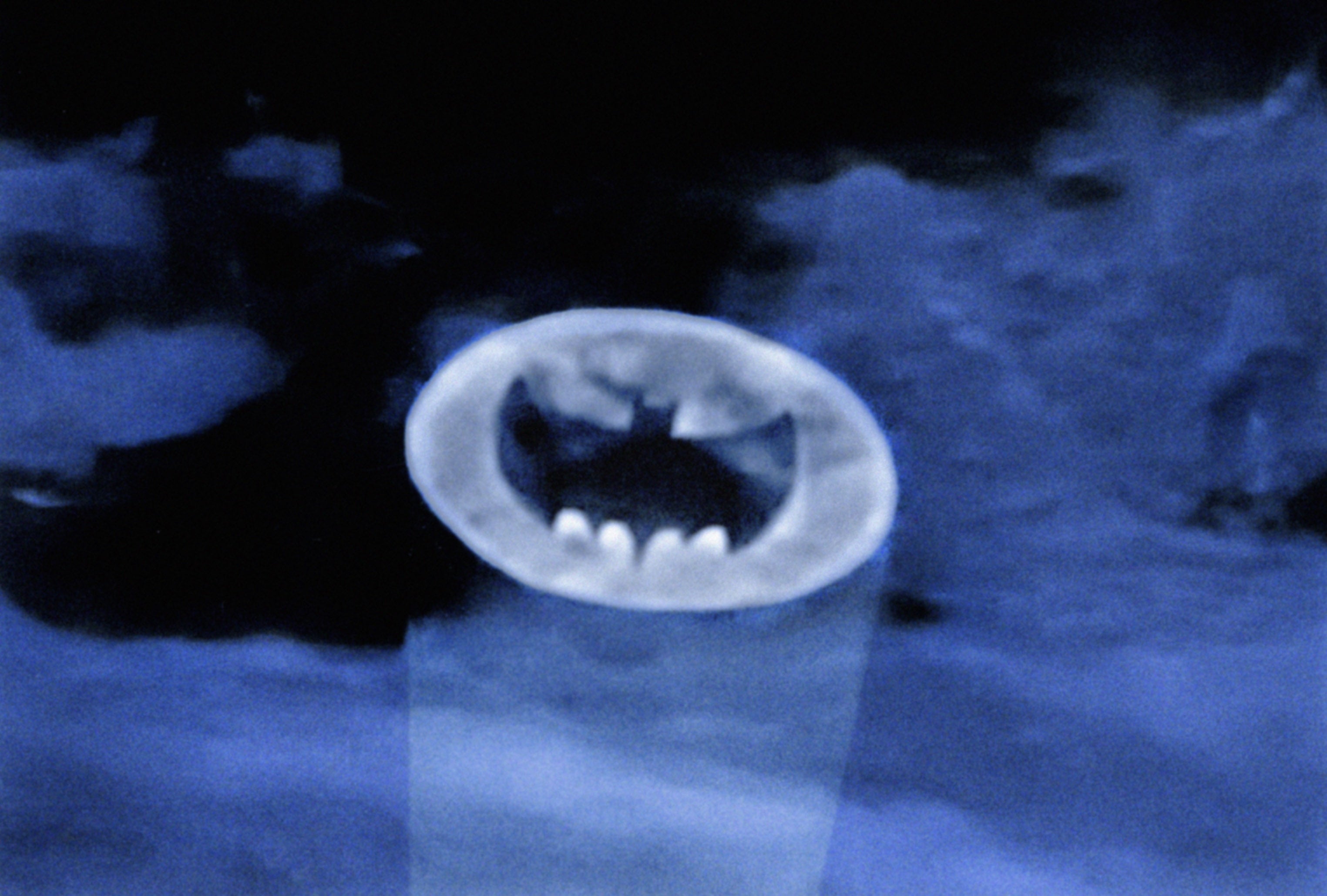 Post image 4