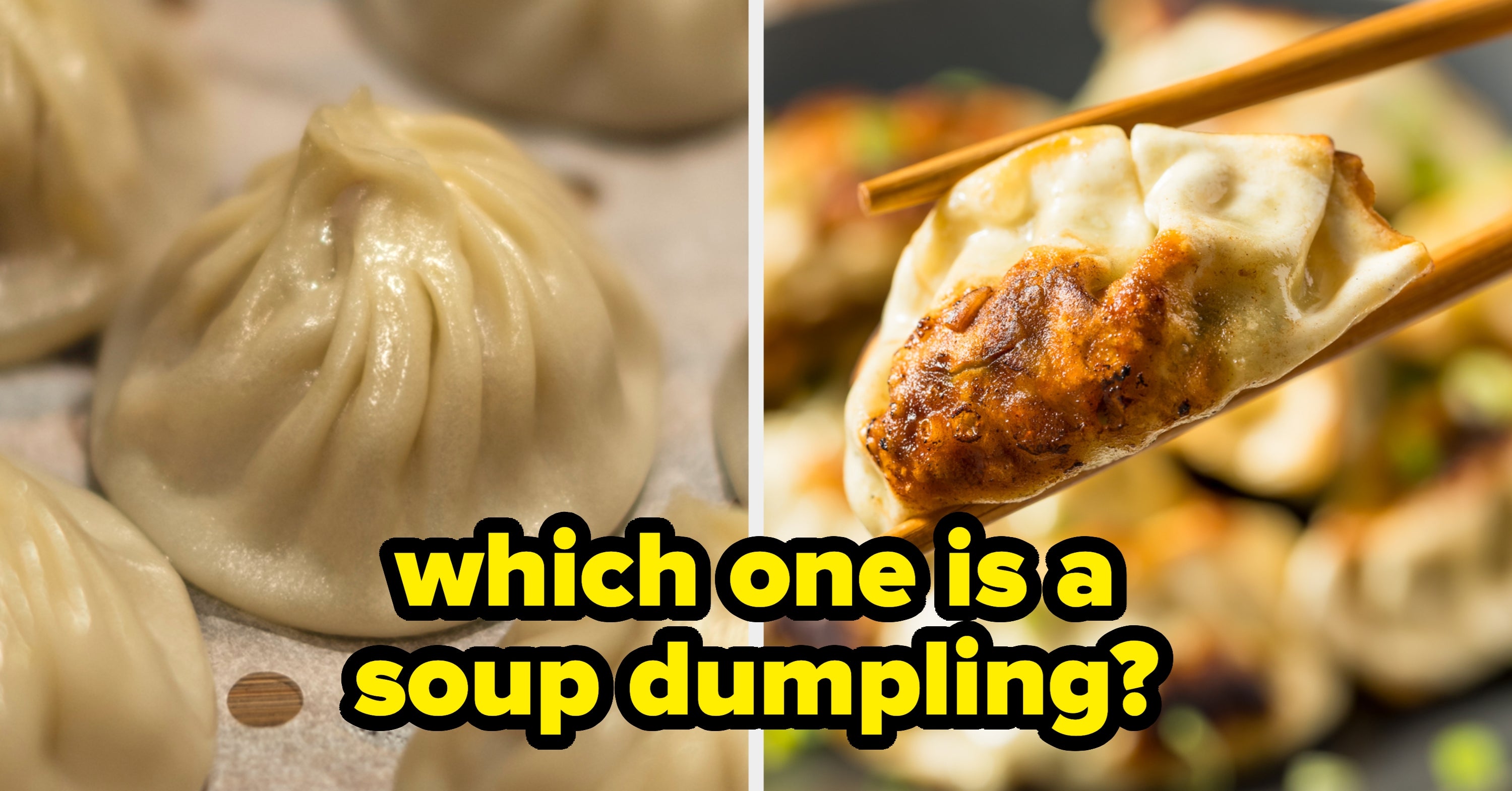 I’m Not Saying You’re A Disaster In The Kitchen, But If You Can’t Score More Than 79% On This Dumpling Quiz, Well...