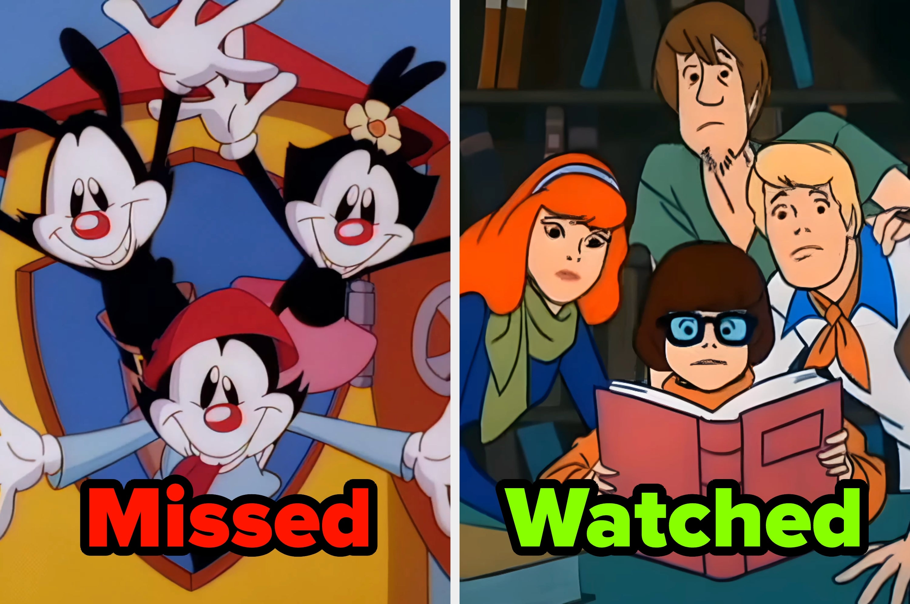 Split image with Animaniacs labeled "Missed" on the left and Scooby-Doo characters labeled "Watched" on the right