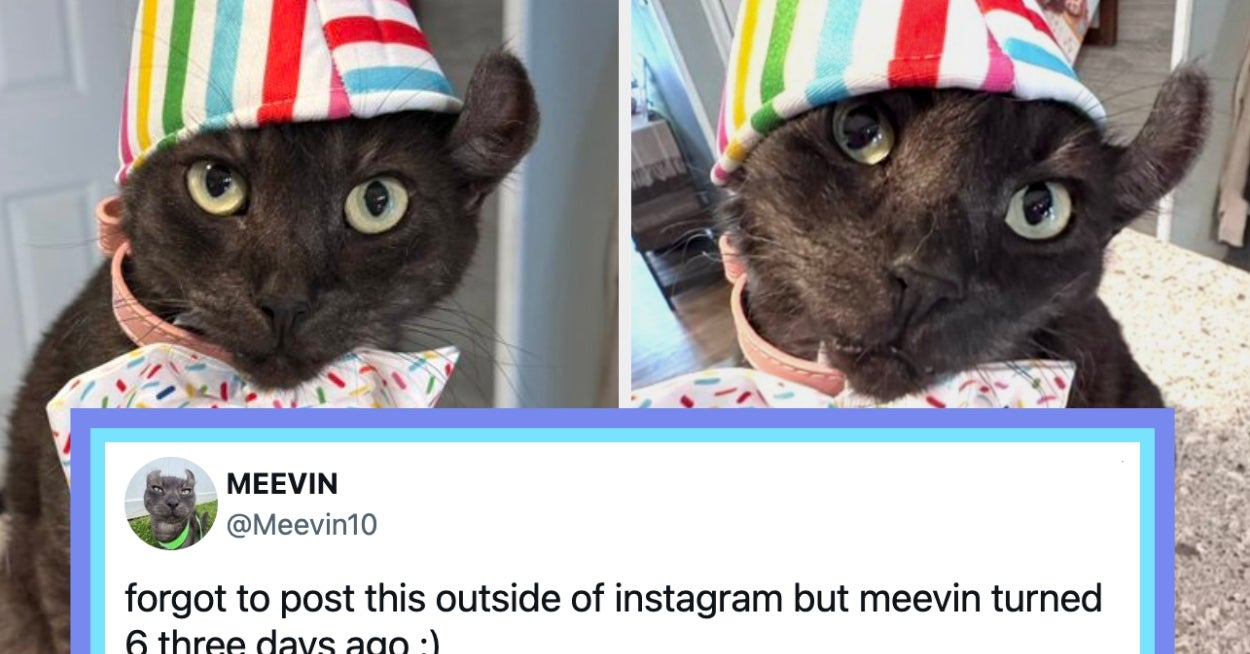 The World Might Be On Fire, But I Compiled 18 Wholesome Posts From The Internet This Week To Help Cheer Up Your Day