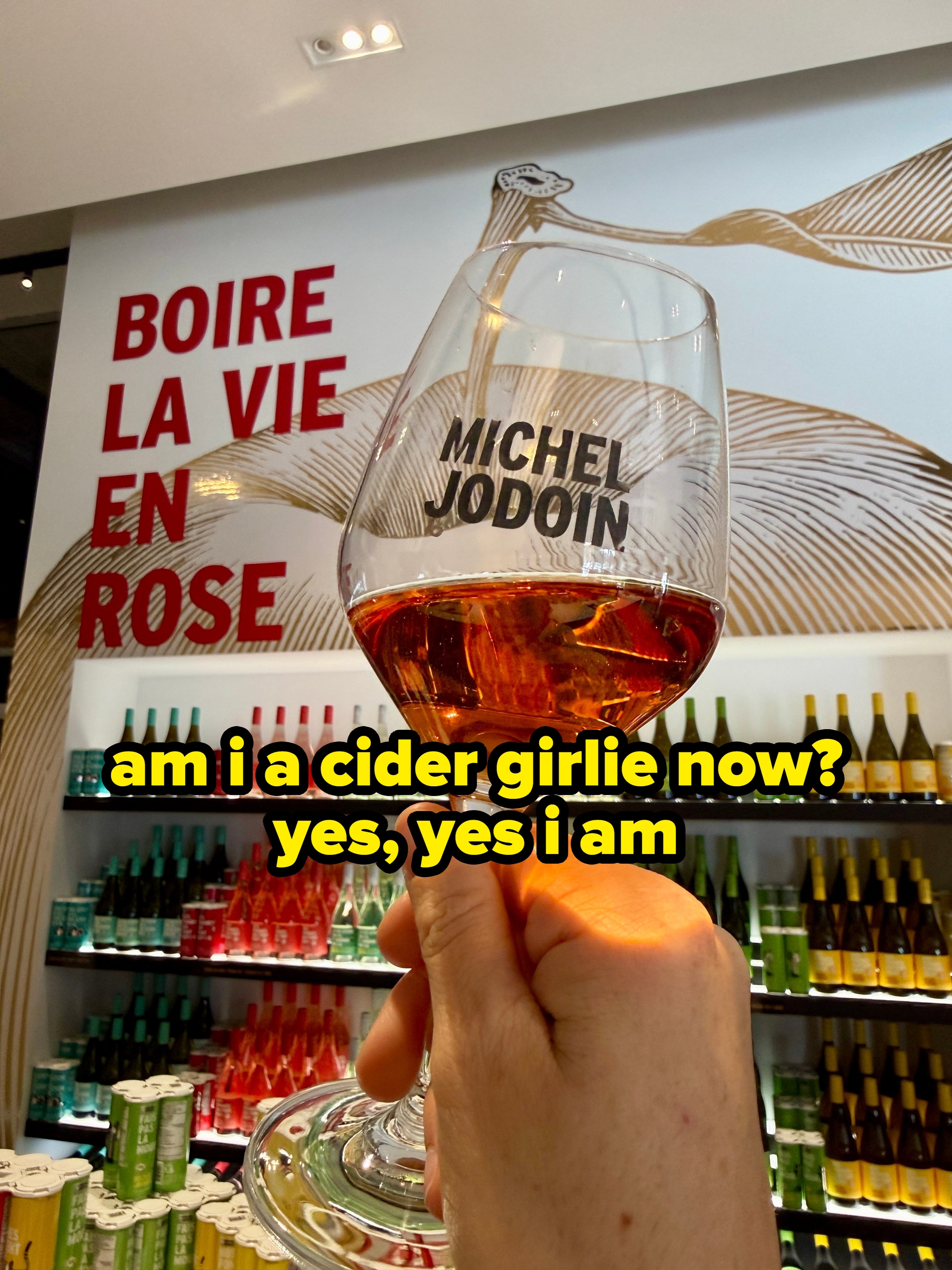 Hand holding a solid of rosé vino successful a winery, with shelves of bottles and a "Michel Jodoin" statement visible. Wall substance says "Boire la vie en rose."