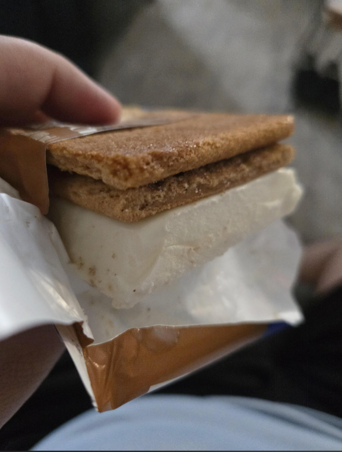 Sandwich es krim dengan graham cracker dan es krim vanilla di luarnya