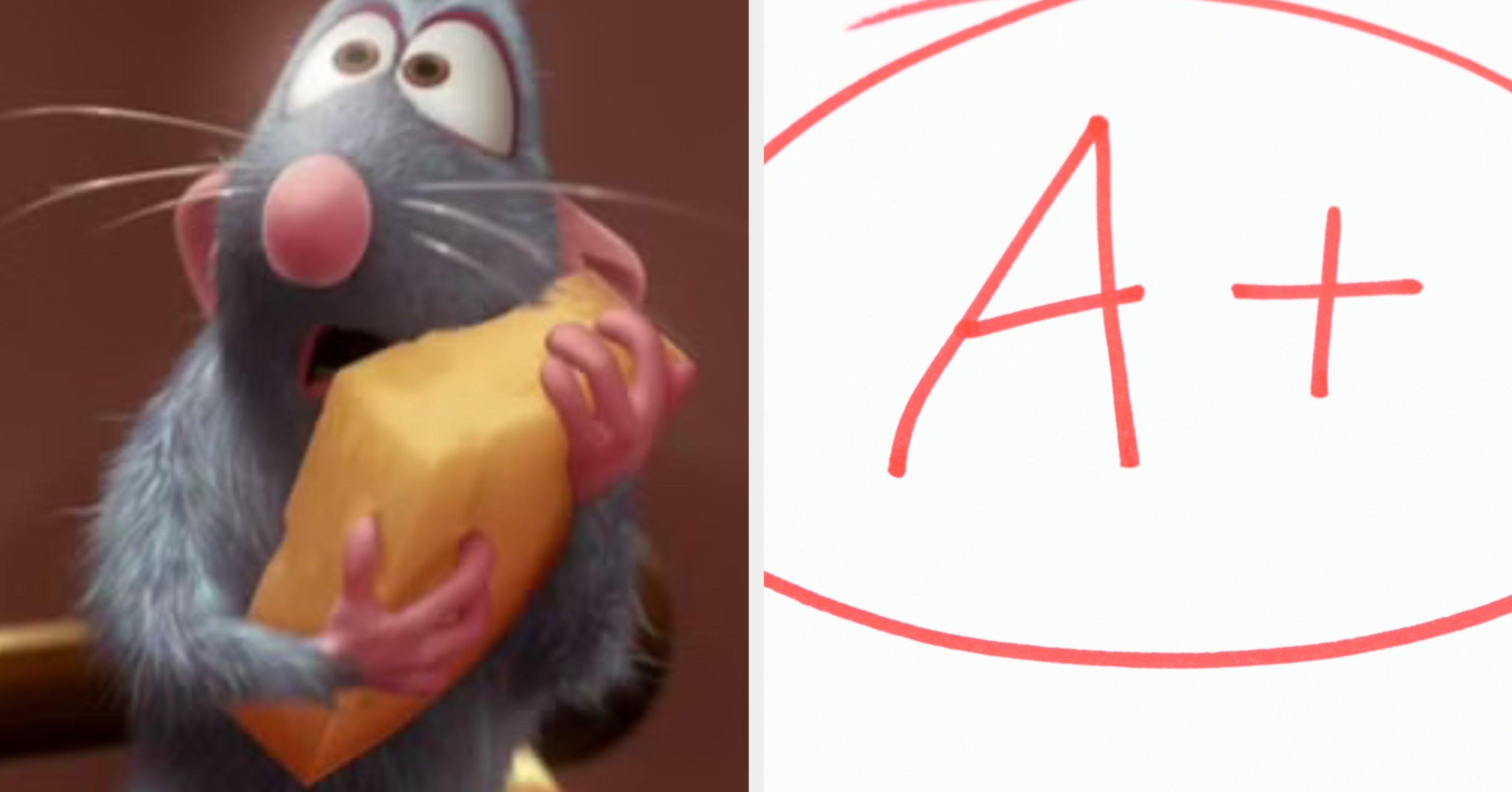 How Well Do You Remember “Ratatouille”?