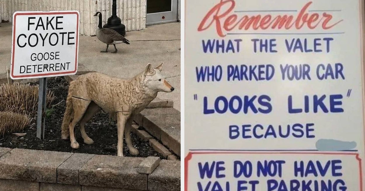 "Behind Every Strange Sign Is A Weird Story": 19 Hilarious Signs With Peak Chaotic Energy