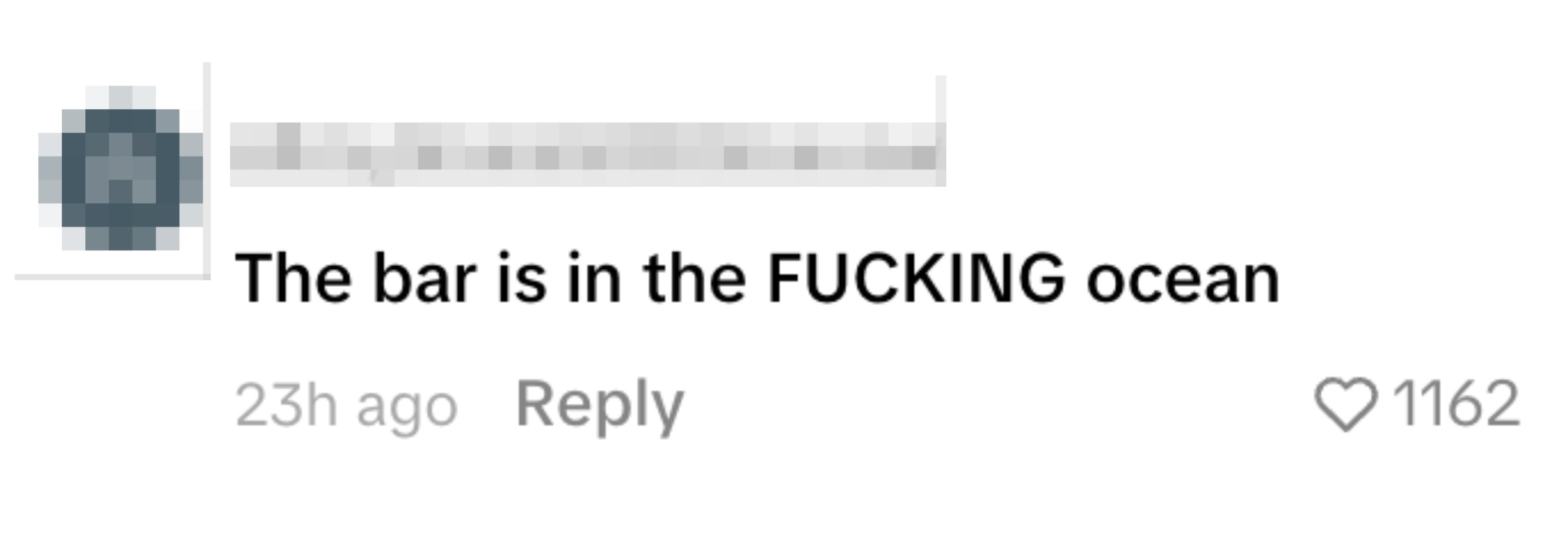 Kommentar som sier
