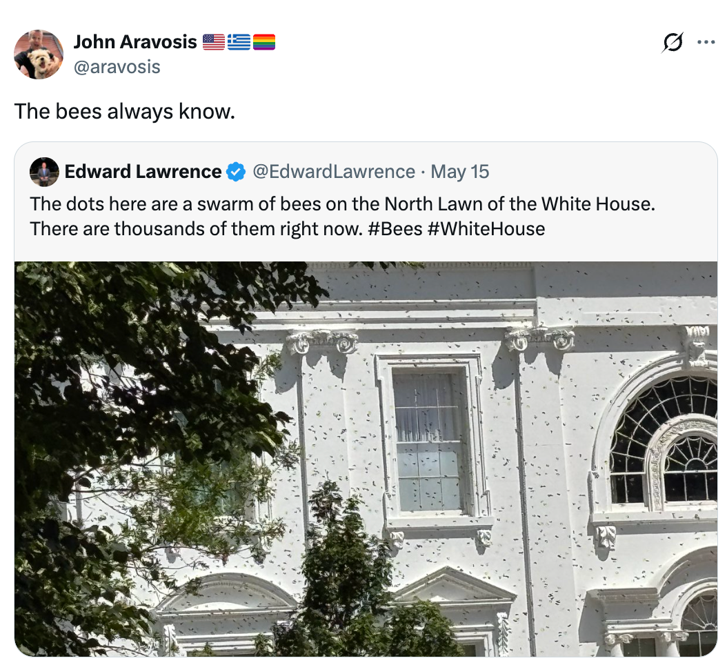 Tweet som viser en sverm av bier på White House North Lawn. Tekst notater tusenvis av bier