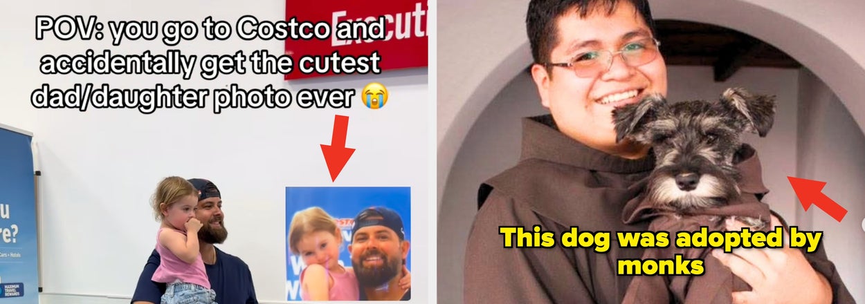 24 Wholesome Internet Posts That Feel Like A Tiny Escape From The Endless Gloom Online