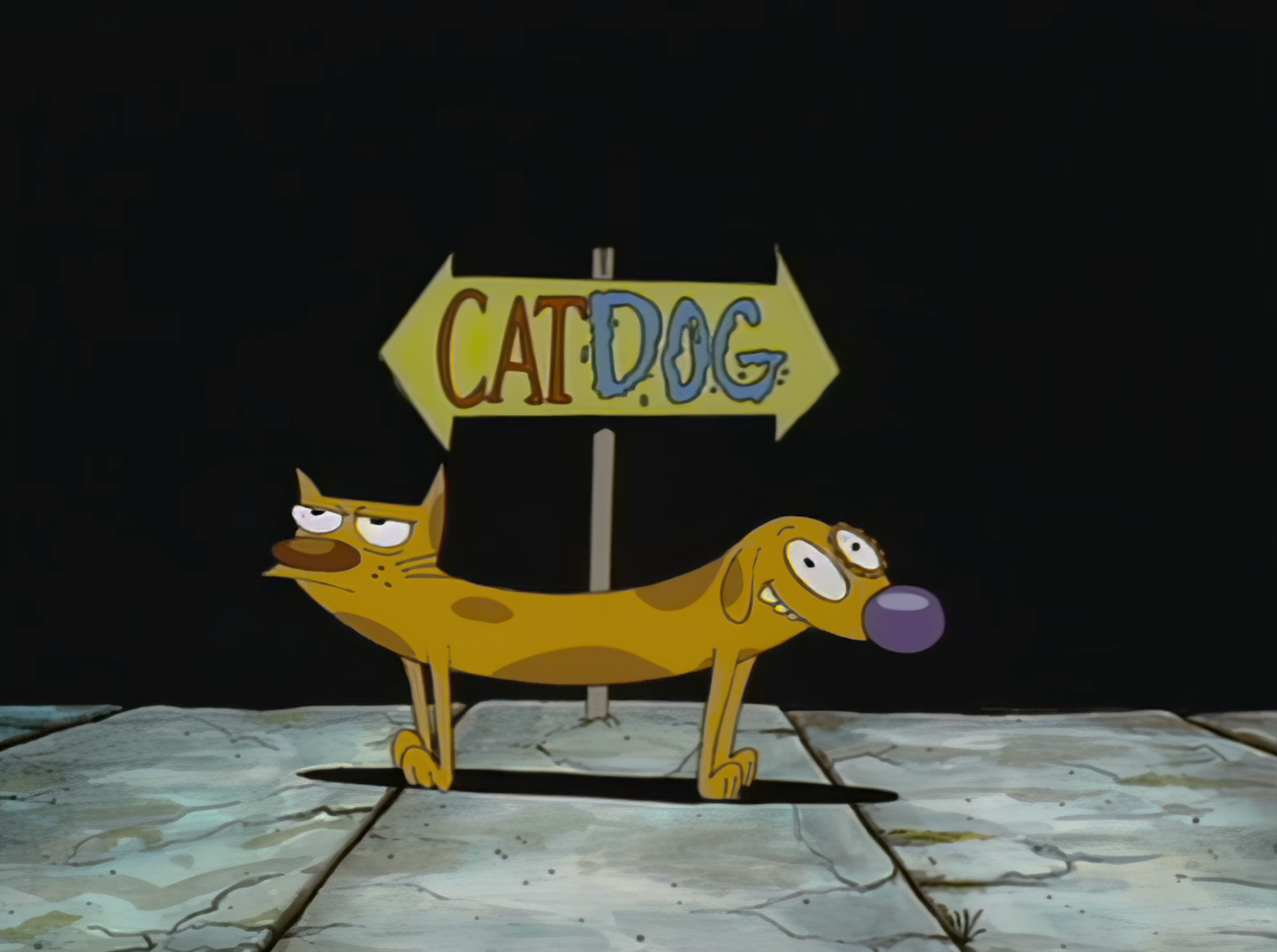 Animated quality CatDog stands successful beforehand of a motion with arrows labeled "Cat" and "Dog."