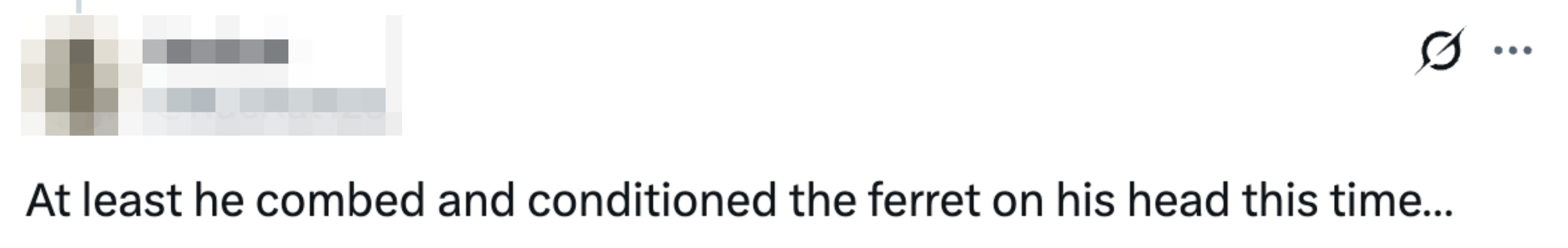 Tweet reads "At least he combed and conditioned the ferret on his head this time"