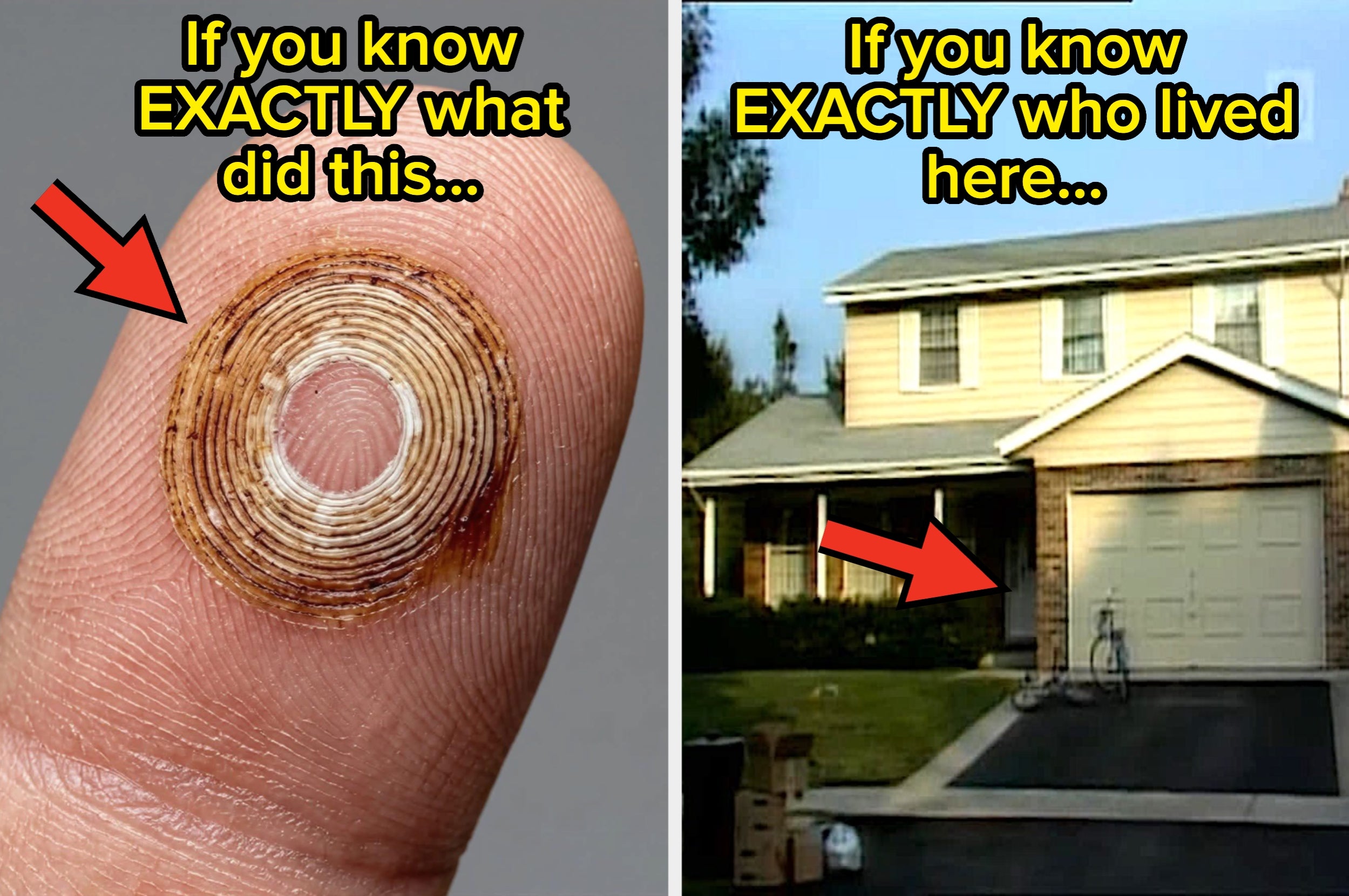 Left: Close-up of a finger with a spiral indentation. Right: Suburban house with a bike, hinting at familiarity or nostalgia
