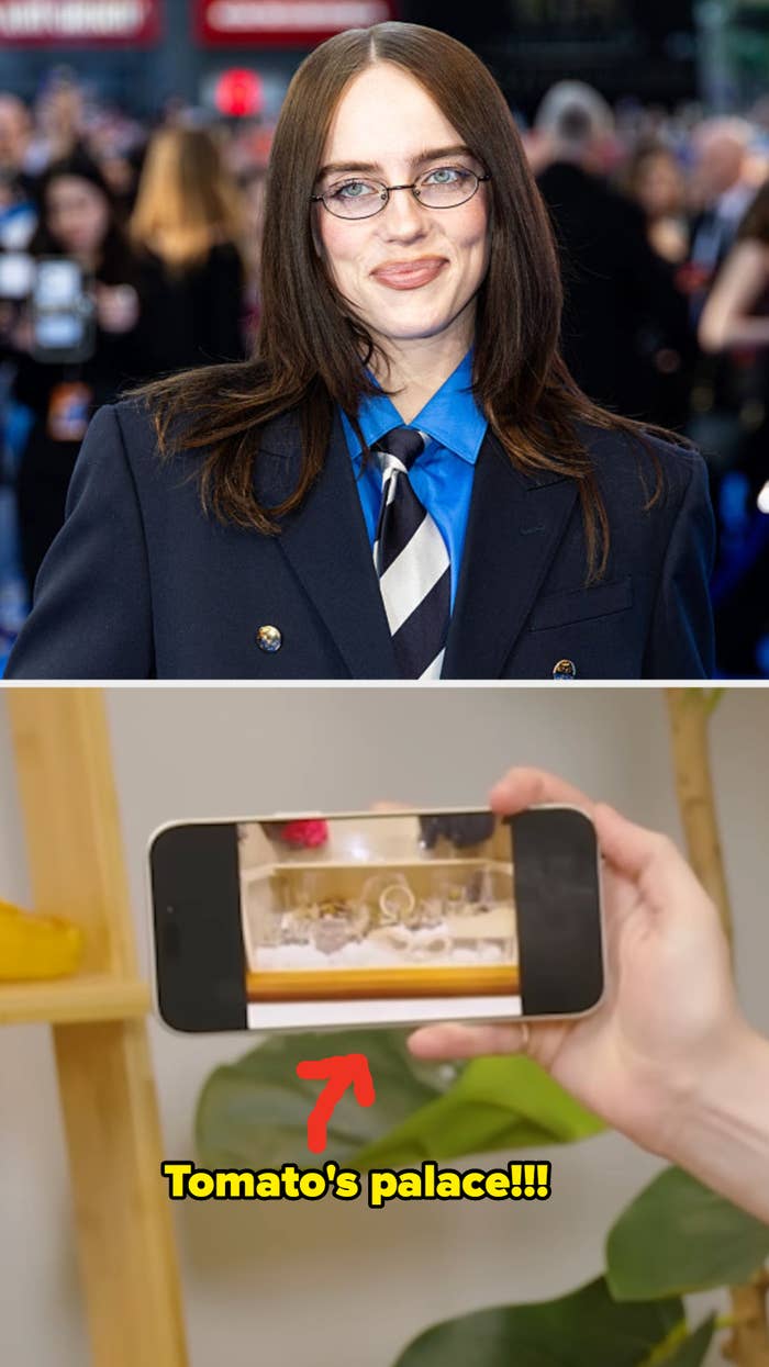 Billie Eilish successful  2026; Billie's hamster's location  connected  a cellphone