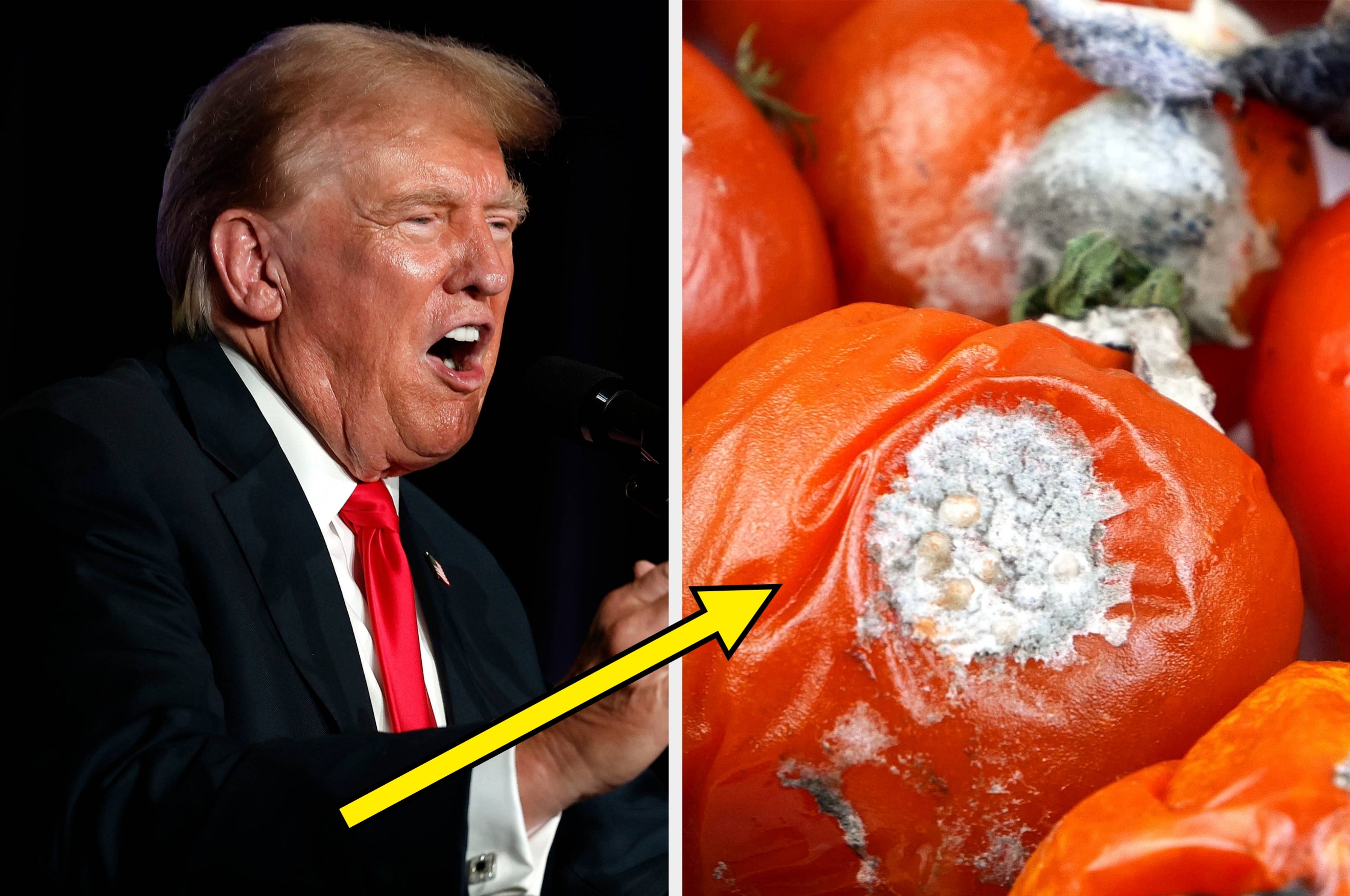 buzzfeed.com - Raven Ishak - Americans Are Revealing How US Food Quality Has Nosedived, And Europeans Would Gasp in Horror