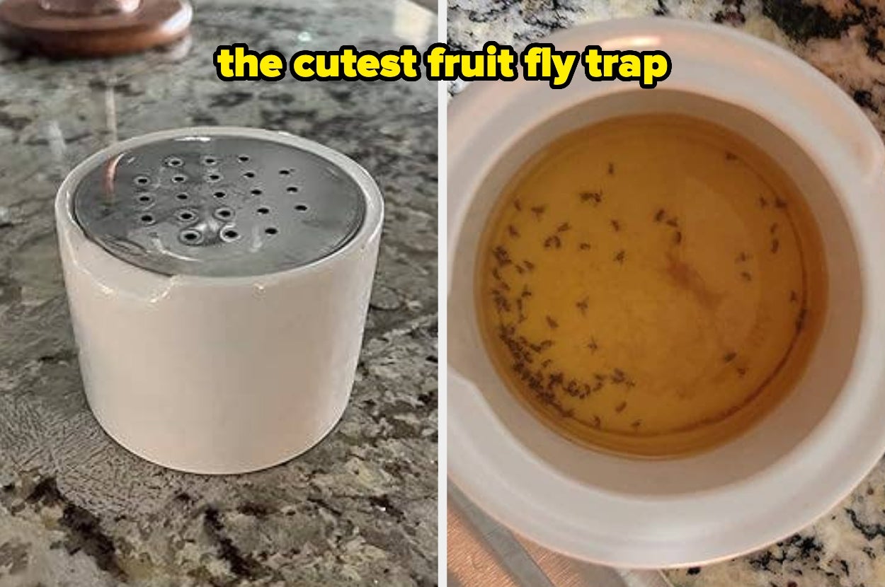 DIY fruit fly trap: a small container with holes on top, shown next to a cup capturing multiple fruit flies inside