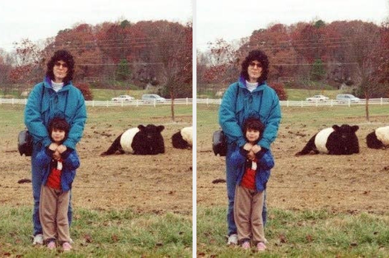 Adult and child stand together in an outdoor setting with cows in the background. The adult is holding the child close