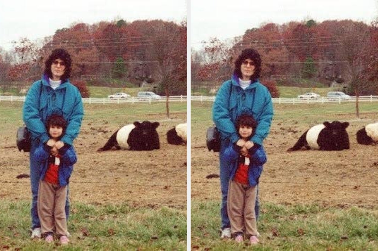 Adult and child stand together in an outdoor setting with cows in the background. The adult is holding the child close